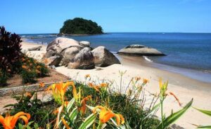 Carnaval na Praia de Caiobá / de 06 a 09 de fevereiro de 2027.