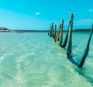 Jericoacoara de 22 a 27 de junho de 2026